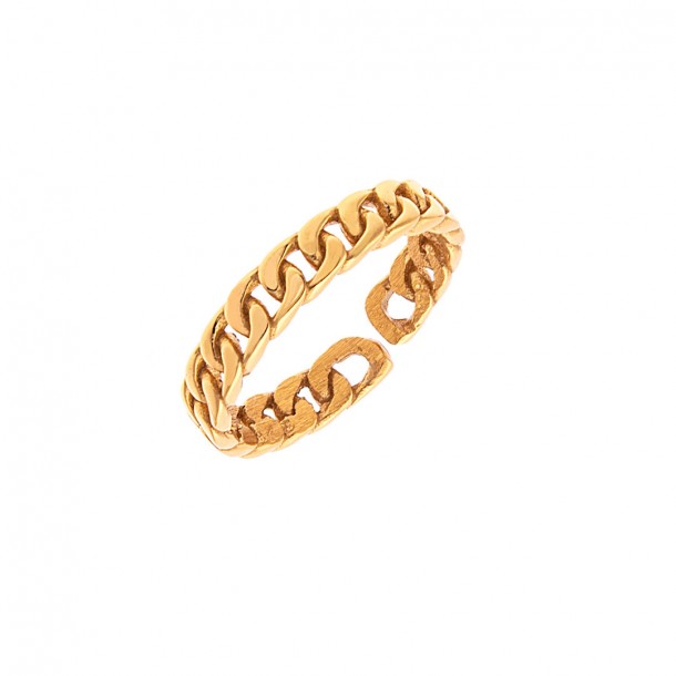 (Preview 1) SILVER CHAIN RING 925